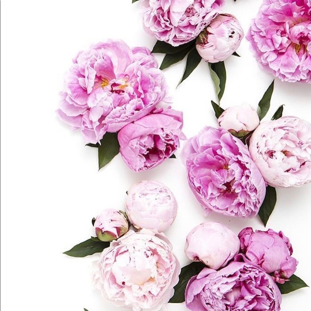 Meet your Posher, Yo